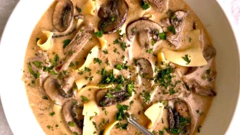 Sopa de Stroganoff de Res - La Cocina Familiar